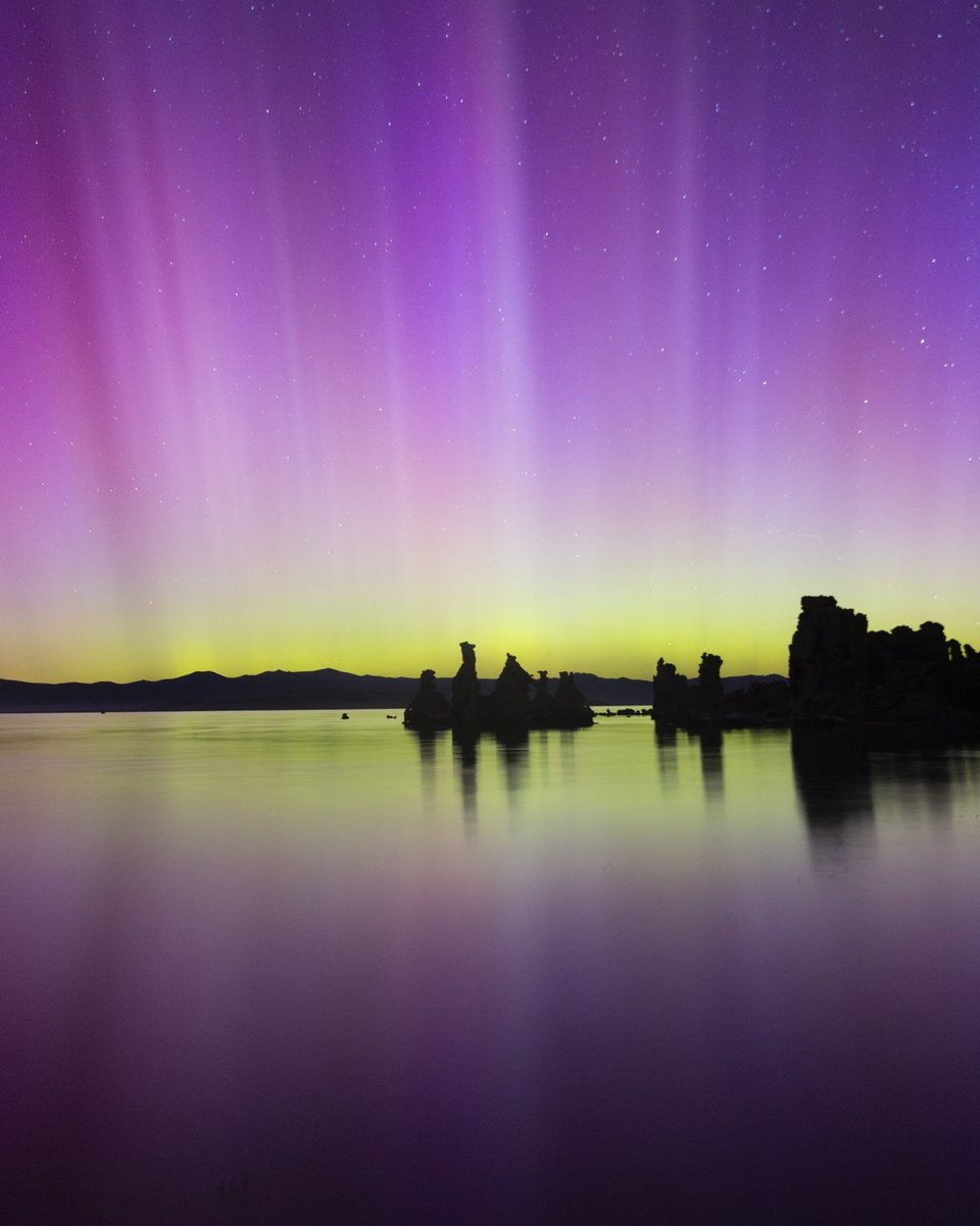 Cody Mayer tweet media