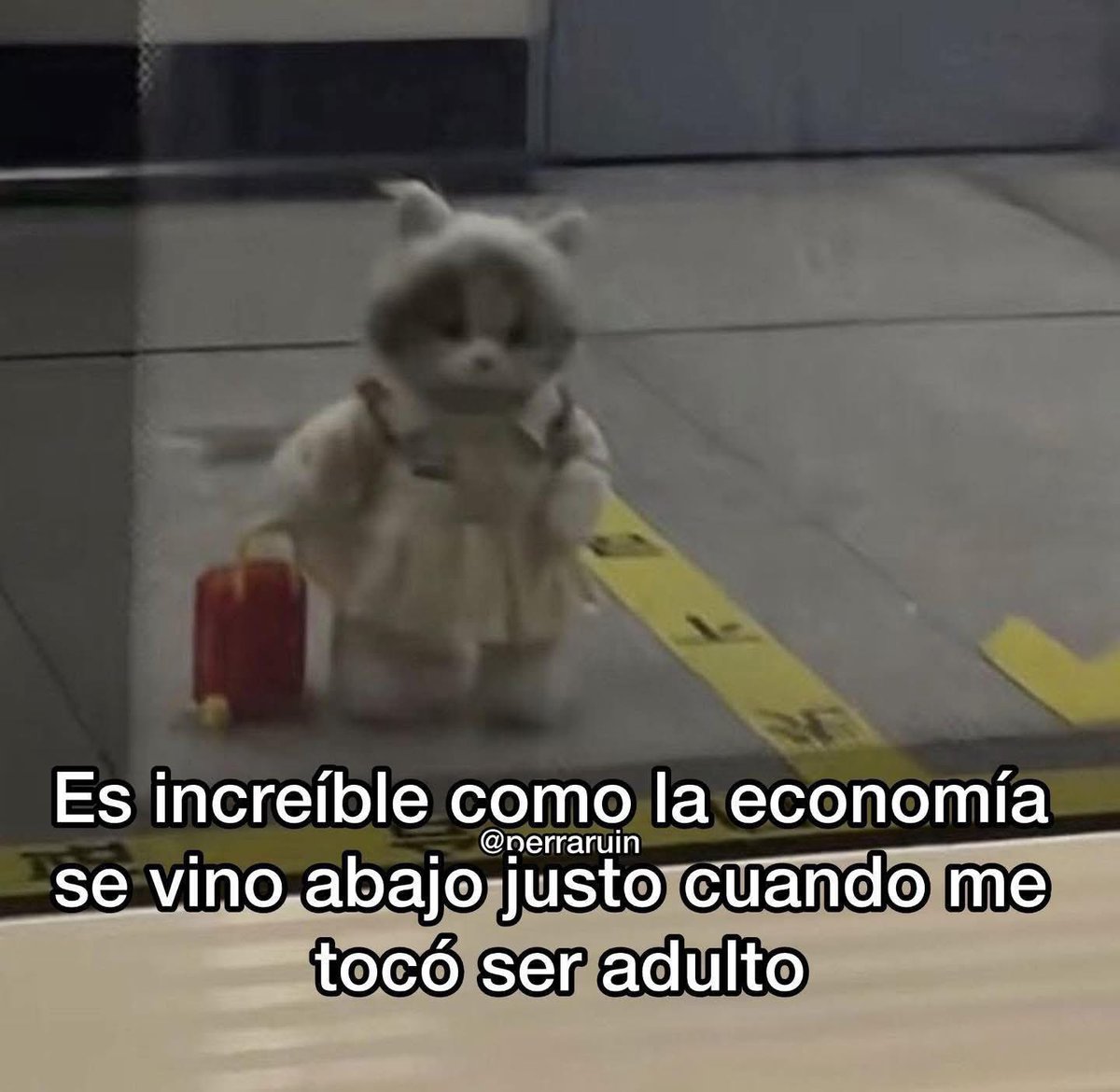 EmporaWii's tweet photo. Como que hubo una sincronia 🥲 https://t.co/0kQUVU1c9Q