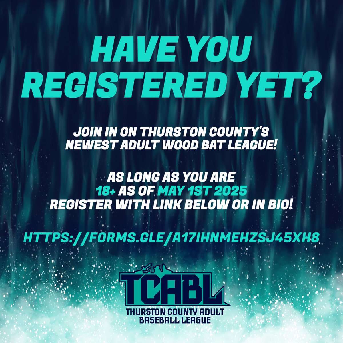 Thurston County Adult Baseball League tweet media