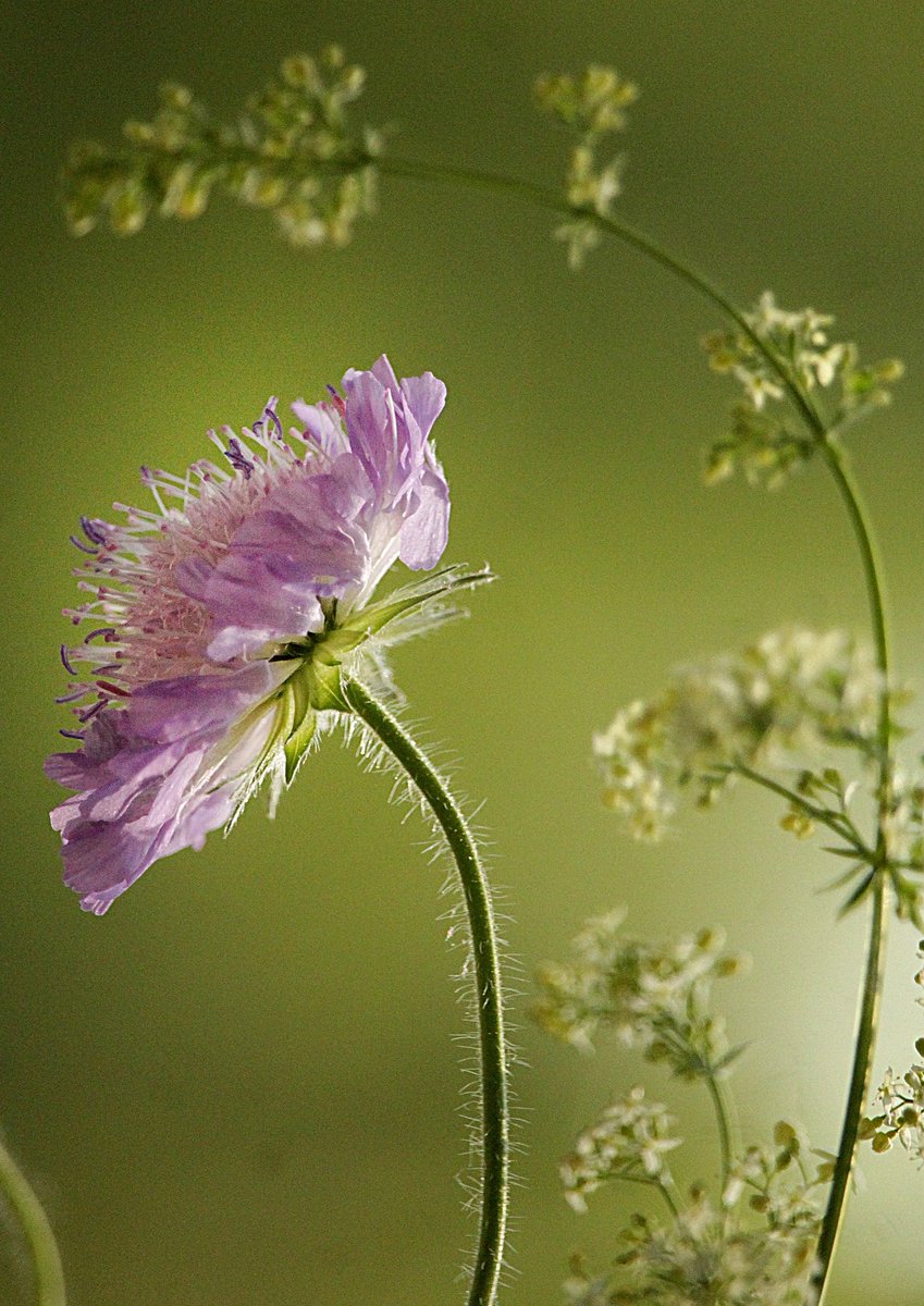 Talent develops itself in solitude;
character, in the stream of life.

Johann Wolfgan von Goethe
#MotivationalQuotes