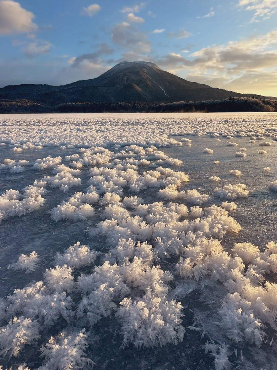 おはようございます☀️
-21℃、ふわふわの朝です❄️
＃阿寒湖　＃フロストフラワー
