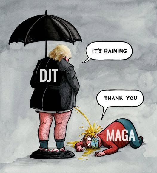 Damaan4u33's tweet photo. MAGA life.  👇👇👇 https://t.co/ocFMaKt72d