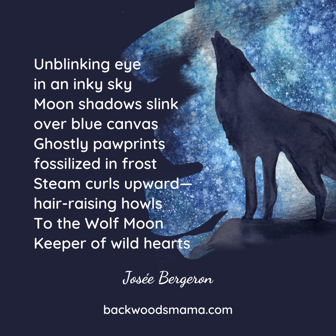 Under the Wolf Moon's unblinking gaze, wild hearts stir and howl.