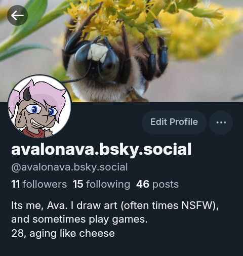 avalon_ava's tweet photo. Just a small reminder that most new art I make will end up over here ^~^ https://t.co/GdsWQ5GwFt