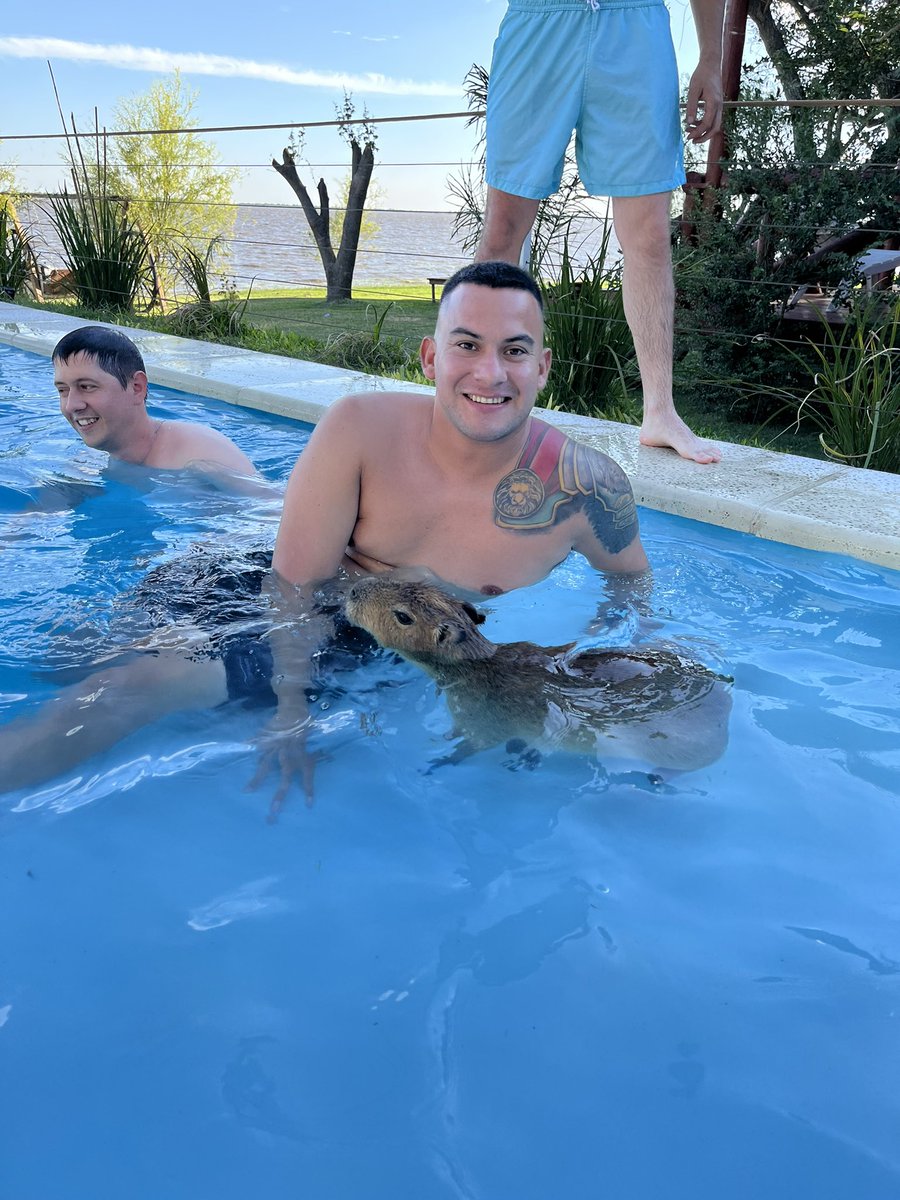 Quiero un carpincho