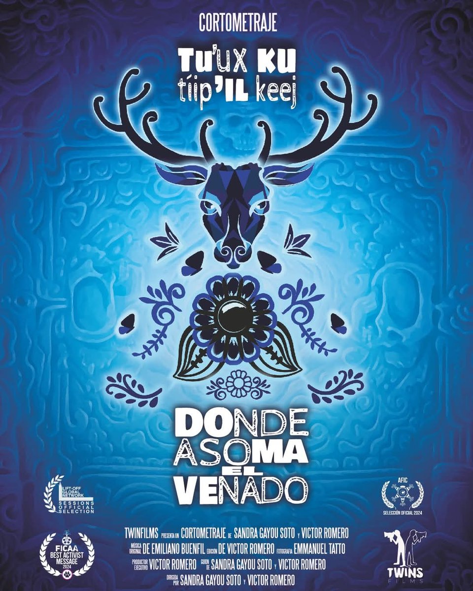 AsomaVenado's tweet photo. Donde asoma el venado  culminó el 2024 como parte de la selección oficial 2024 del Acolman Festival Intrenacional de cine #AFICAcolman y el #LiftOffGlobalNetwork  🎥🎉🦌

¡Muchas gracias a quienes siguen siendo parte de esta aventura!

#cortodocumental #cineindependiente #Yucatan https://t.co/2mb6lHI3rx