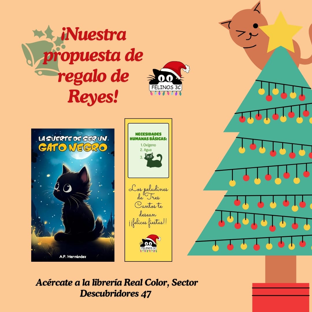 protectora felina 3C (@felinos3c) on Twitter photo 