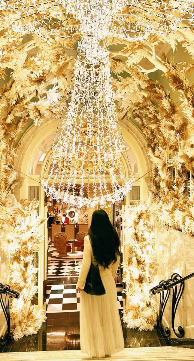 Elegance illuminated. 🌟