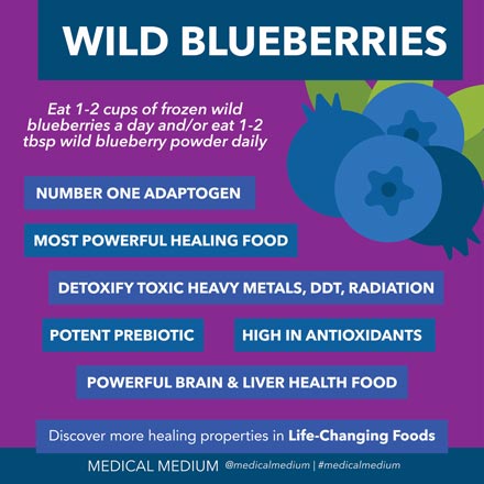 Wild Blueberries: Resurrection Food medicalmedium.com/blog/wild-blue…