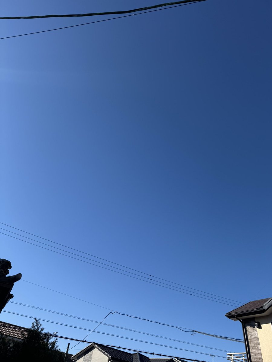 雲ひとつ無い晴天☀️
本年仕事2日目…
年末から仕事が忙しすぎる😵💦
でも推し活のために頑張って働きます💪✨