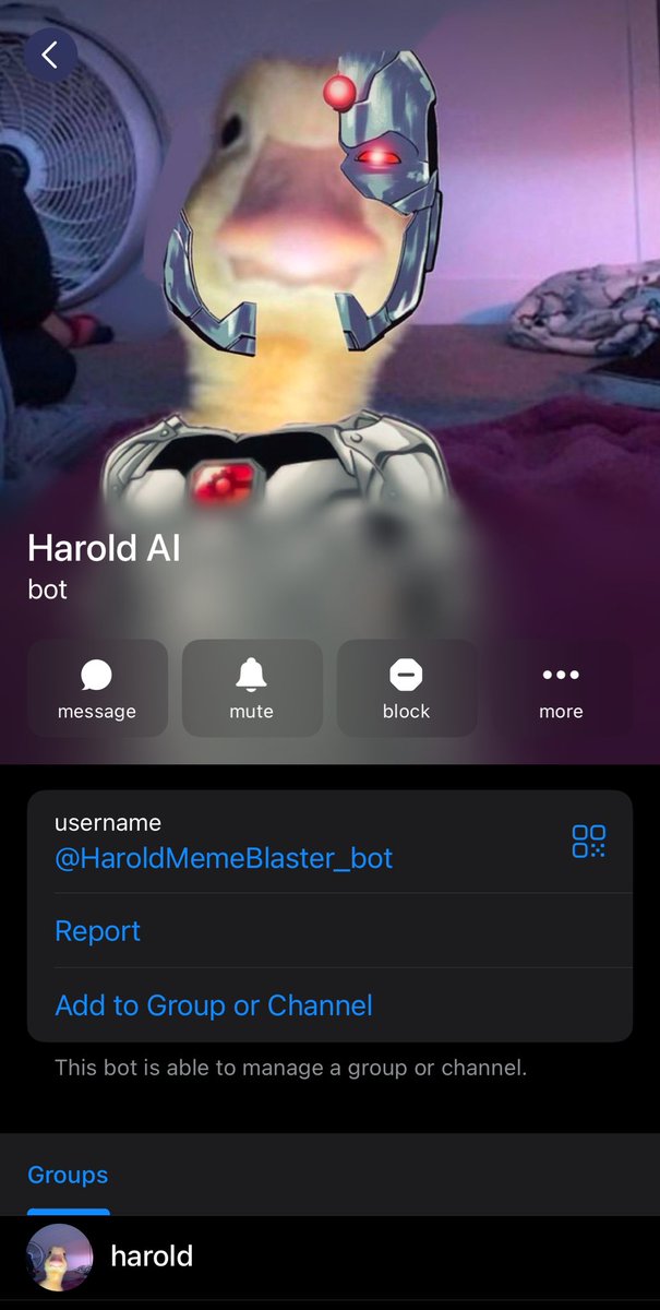 $harold will no longer have to wait for metas..

A duck of many talents 🦾🐤