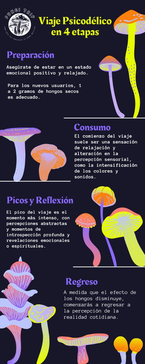 fungi_trip's tweet photo. 🍄👀 https://t.co/5Mci8JrDDU