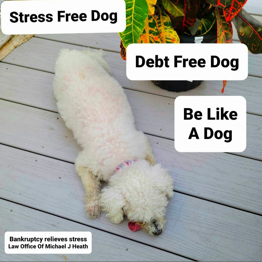 mheathlaw's tweet image. Stress Free Dog 
Debt Free Dog 
Be Like A Dog 
Bankruptcy Relieves Stress
Bankruptcy Eliminates Debt
.
.
#happynewyear #FunPosts #bankruptcylawyer #bankruptcy #bankruptcyattorney #FreeConsult #VirginiaBeach #Chesapeake #Norfolk #Portsmouth #Debthelp