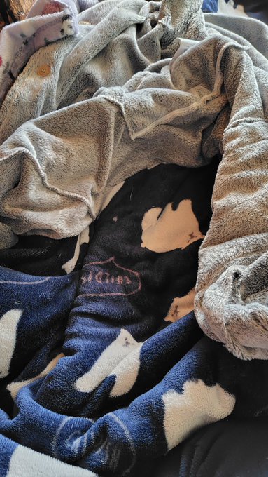 キャットのクレーター 