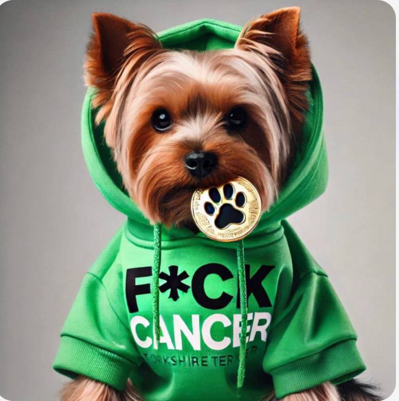 WinwidRT's tweet photo. @cryptolyxe Fud can’t keep a good thing down

The mission is clear: Take $GIZZY to the MOON!  🌕Our beloved Yorkie, Gizzy, is battling cancer, and this is more than a meme—it's a movement.   

Great narrative, community and doxed team!   

 CA: GjGZbGGSaejxgAarwo6cgEti925eVqPyM3ScVt3vmoon https://t.co/CxP7LlB25a