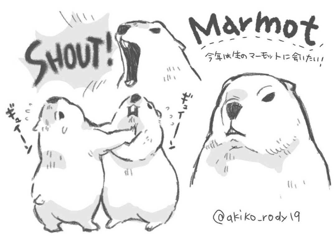マーモットファンアート 