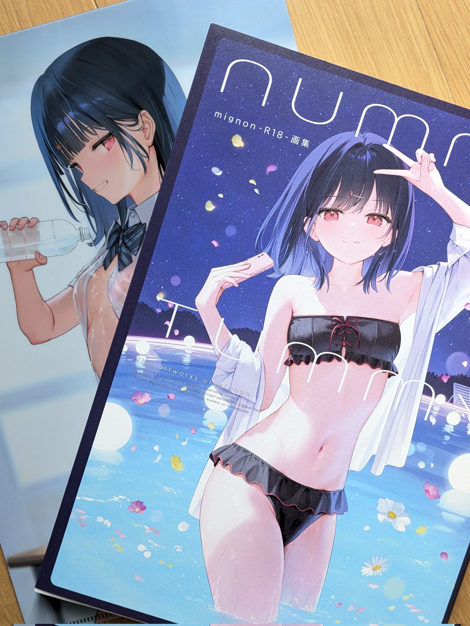 mignon画集 NUMMYTUMMY Amazon.co.jp: mignon画集 YUMMY TUMMY