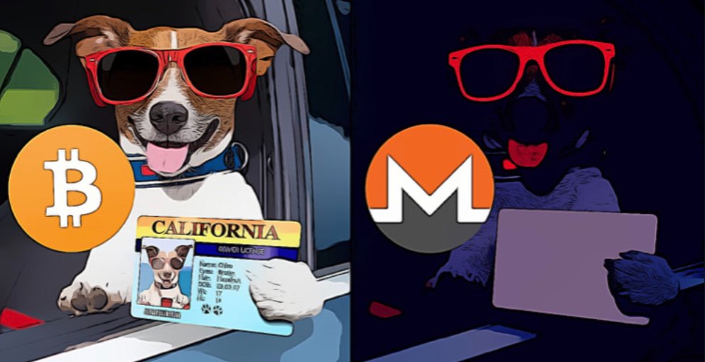 Still my fav meme I have ever made
Bitcoin vs Monero
