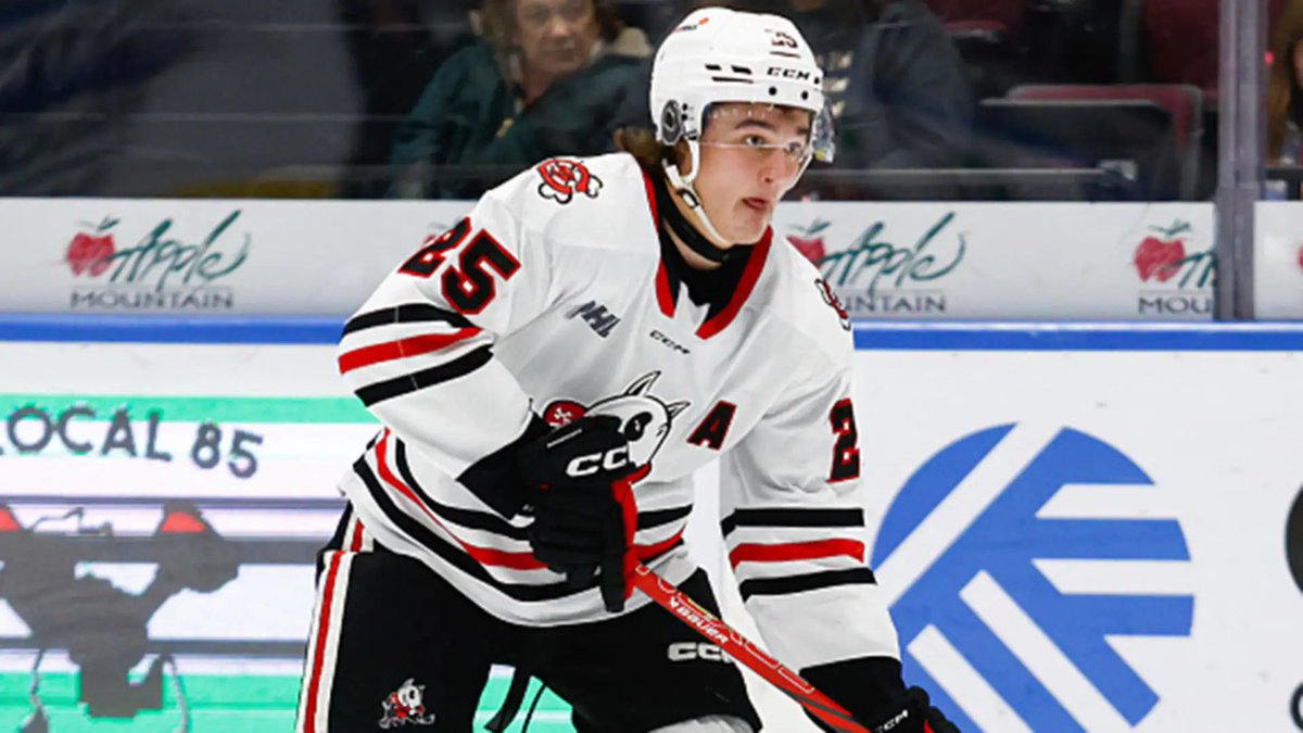 TSN Hockey (@tsnhockey) on Twitter photo The next generation of hockey players are making their mark and <a href="/CraigJButton/">Craig Button</a> shares his observations of <a href="/OHLIceDogs/">Niagara IceDogs</a> forward Ryan Roobroeck: tsn.ca/hockey-canada/… The next generation of hockey players are making their mark and <a href="/CraigJButton/">Craig Button</a> shares his observations of <a href="/OHLIceDogs/">Niagara IceDogs</a> forward Ryan Roobroeck: tsn.ca/hockey-canada/…