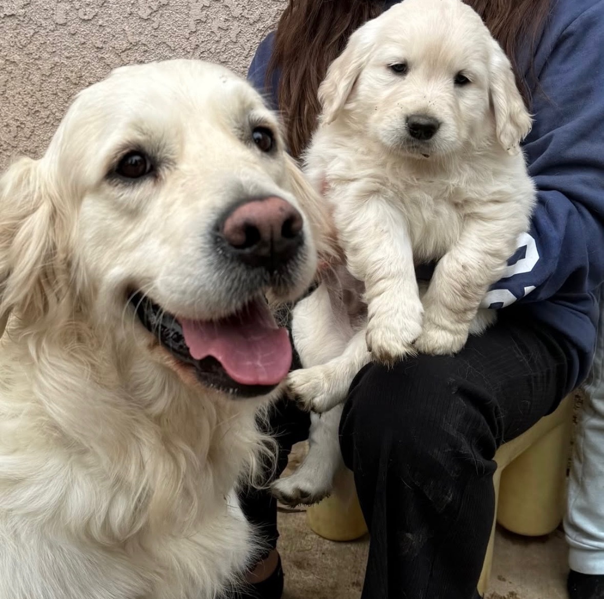 Brian Coords 💻 tweet media