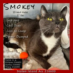 Peter Askin tweet media