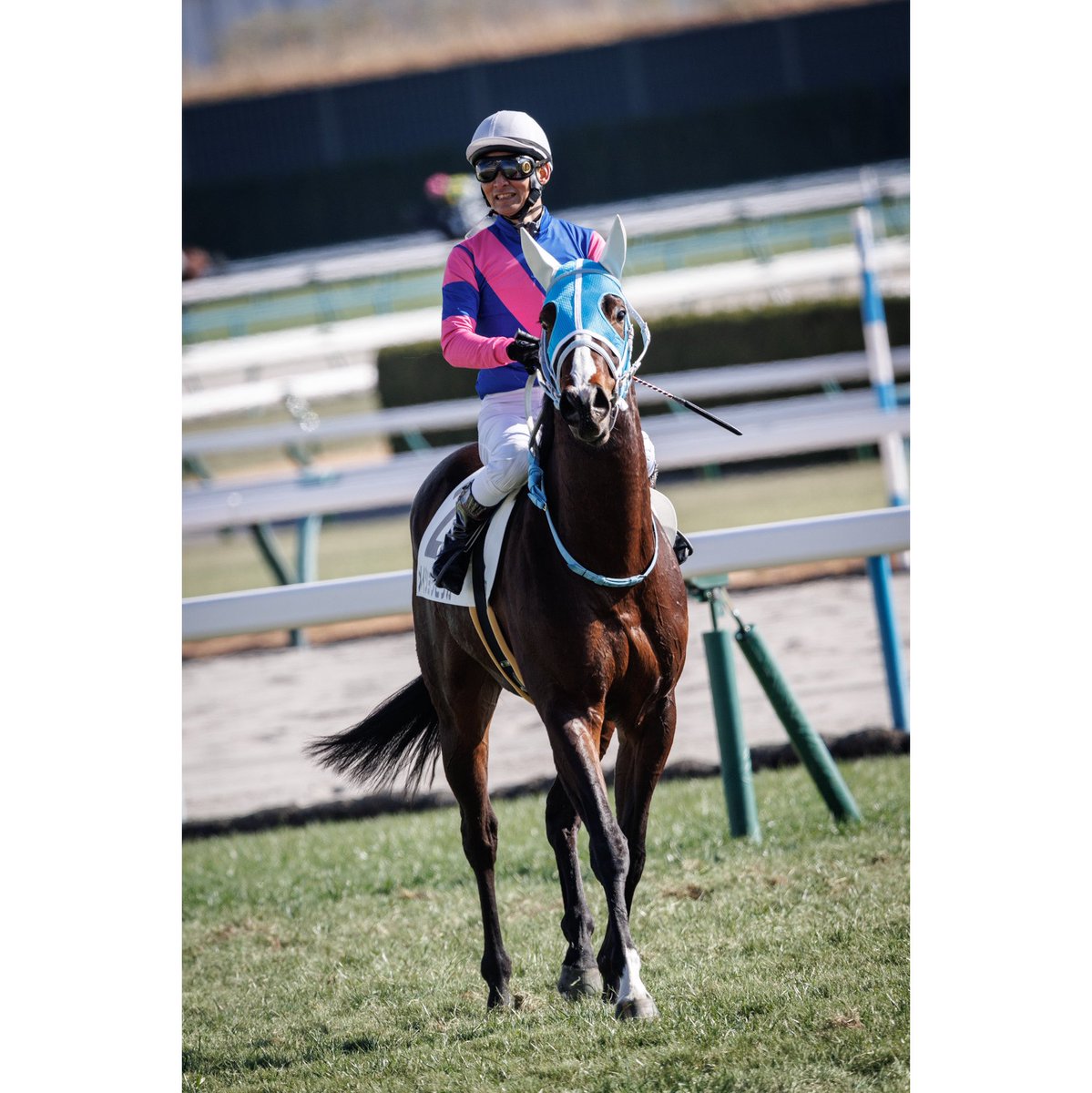 saltsters's tweet image. #メイショウピリカ
#太宰啓介
2024.12.28 京都5R 新馬戦