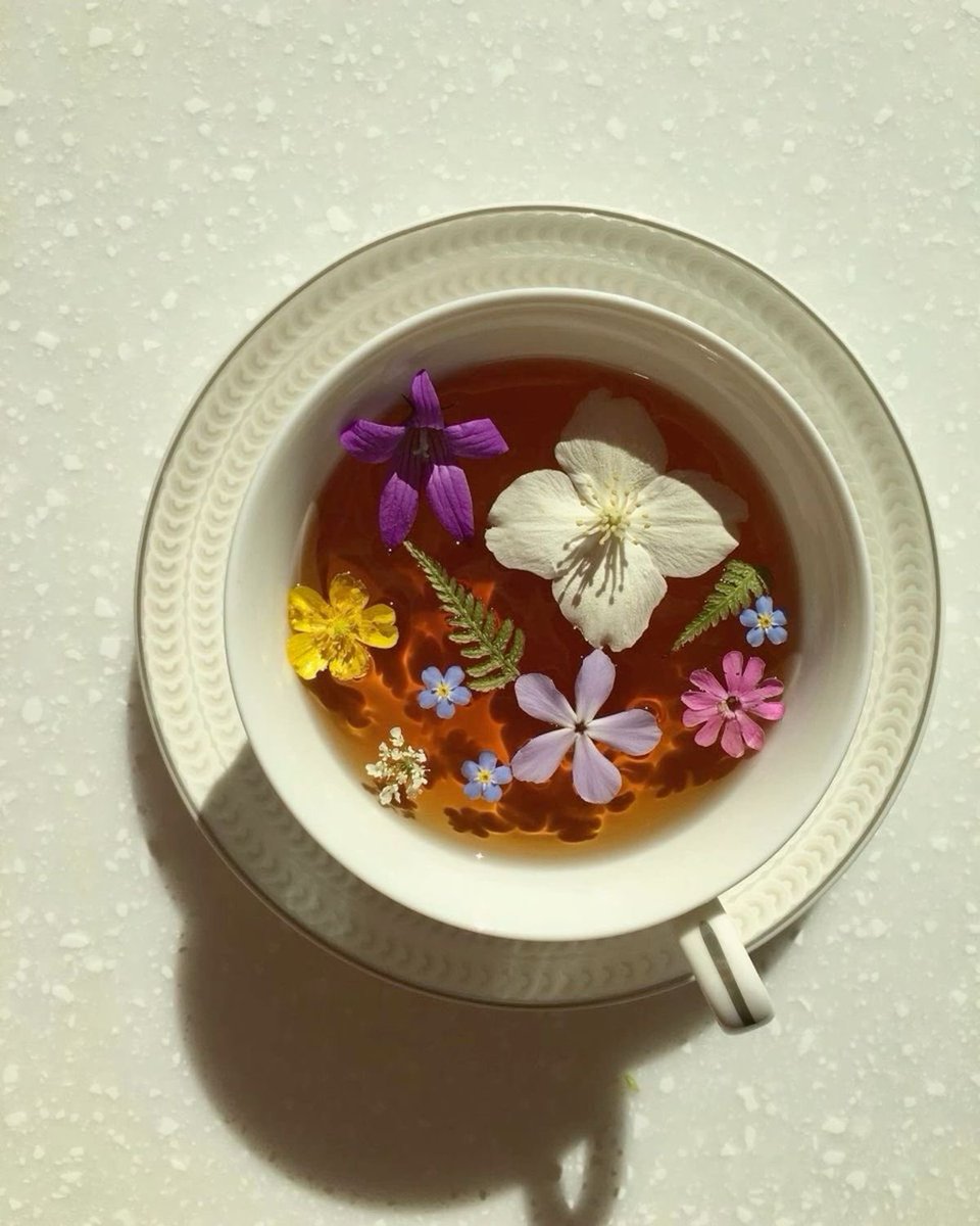 sirenuquinha's tweet image. ღ Compostos naturais que auxiliam no emagrecimento/inibem a fome ღ

❧ Thread ❧