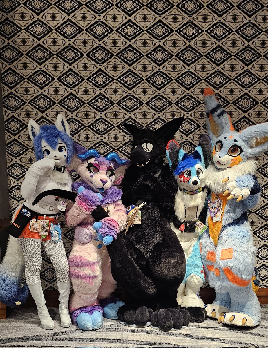 FurryChi's tweet image. Swag™
@GamermacS 💙
Featuring Keno the cat :3
#PDFC2025