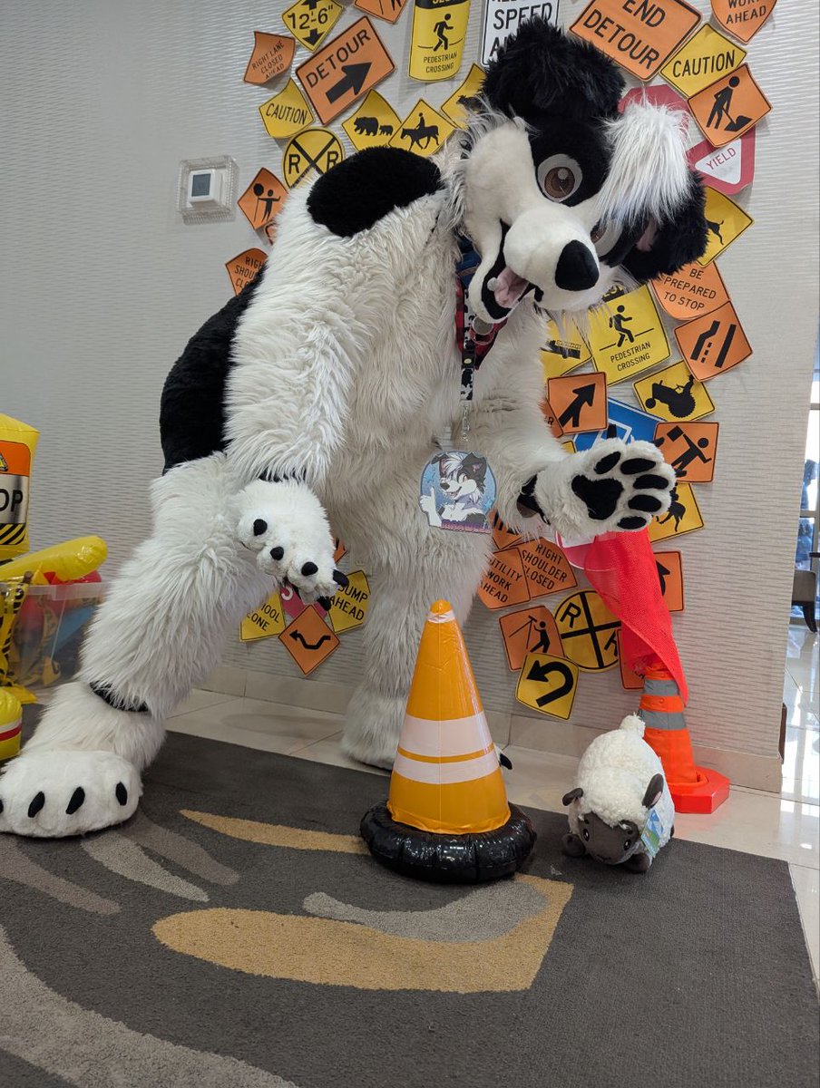 NYFB2025 was a huge success. It was lots of festive fun! Great way to ring in the new year! Here's just a few of me herding my sheep in a construction zone. <a href="/SmallCollie/">Jethro Collie</a> 📸