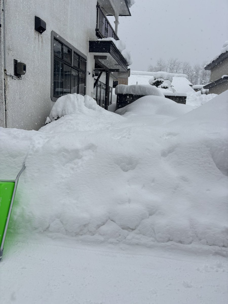 しゅわ tweet media