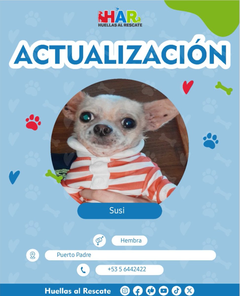 Huellas24's tweet photo. La Historia de Susi ❤️

 #CuidadosParaPerros #Mascotas #Perros #BienestarAnimal #ProtecciónAnimal #PuertoPadre #Delicias #Menendez #perritoscallejeros #CompromisoAnimal #momento🥹🥹 #gatitos #adoptanocompres 

Más sobre el caso pinché aquí 
👇🏻👇🏻👇🏻👇🏻
https://t.co/ZE2MHUDeyG? https://t.co/cIH67UGiwh