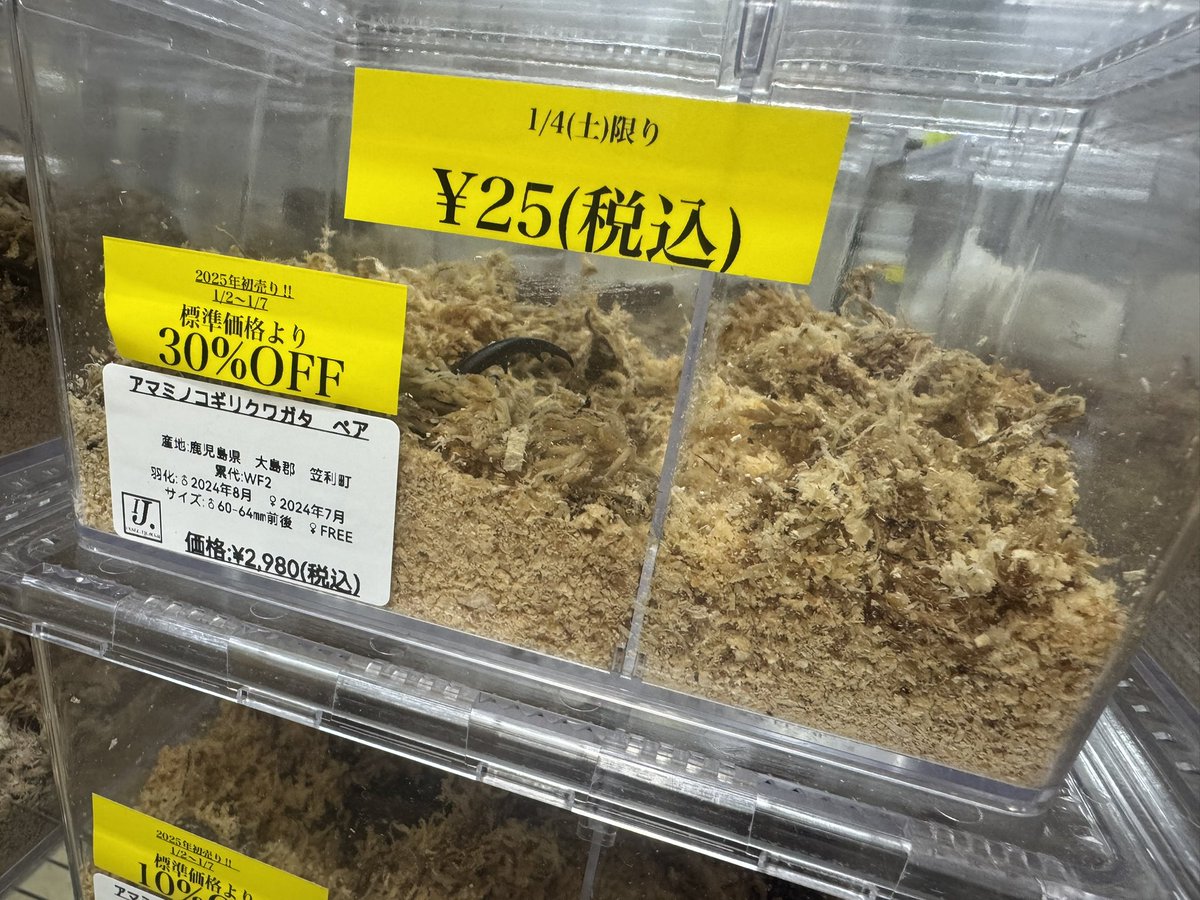 今日は誰も並んでない！！ まさか…我々がこれで初売りイベントが終わり