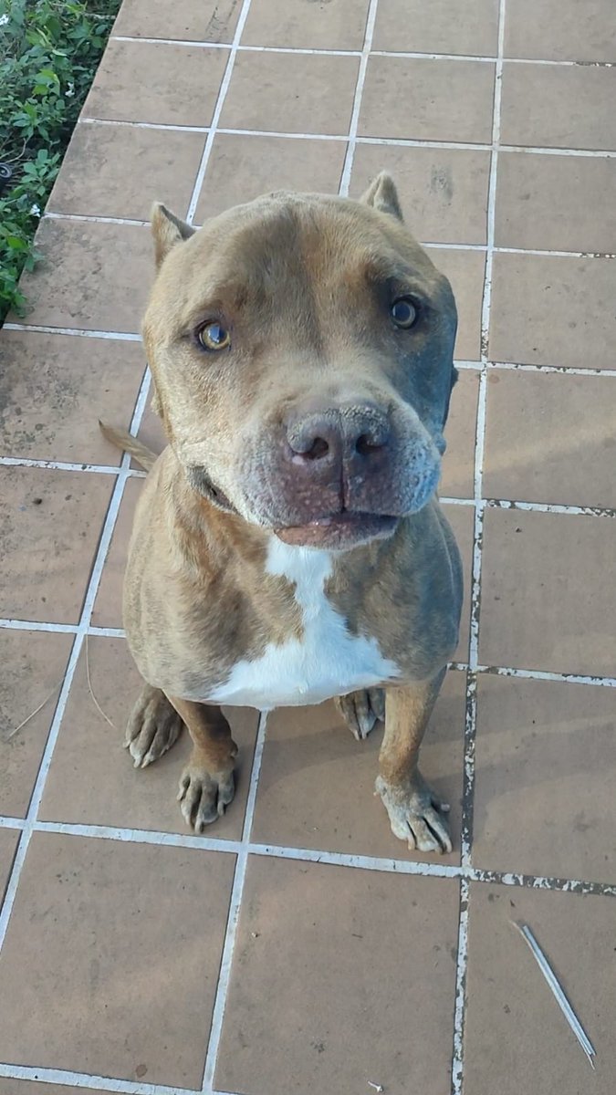 Lord_Birras tweet media