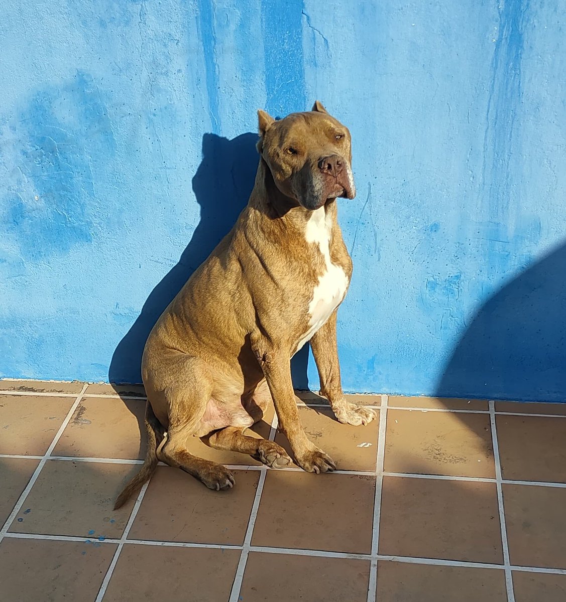 Lord_Birras tweet media