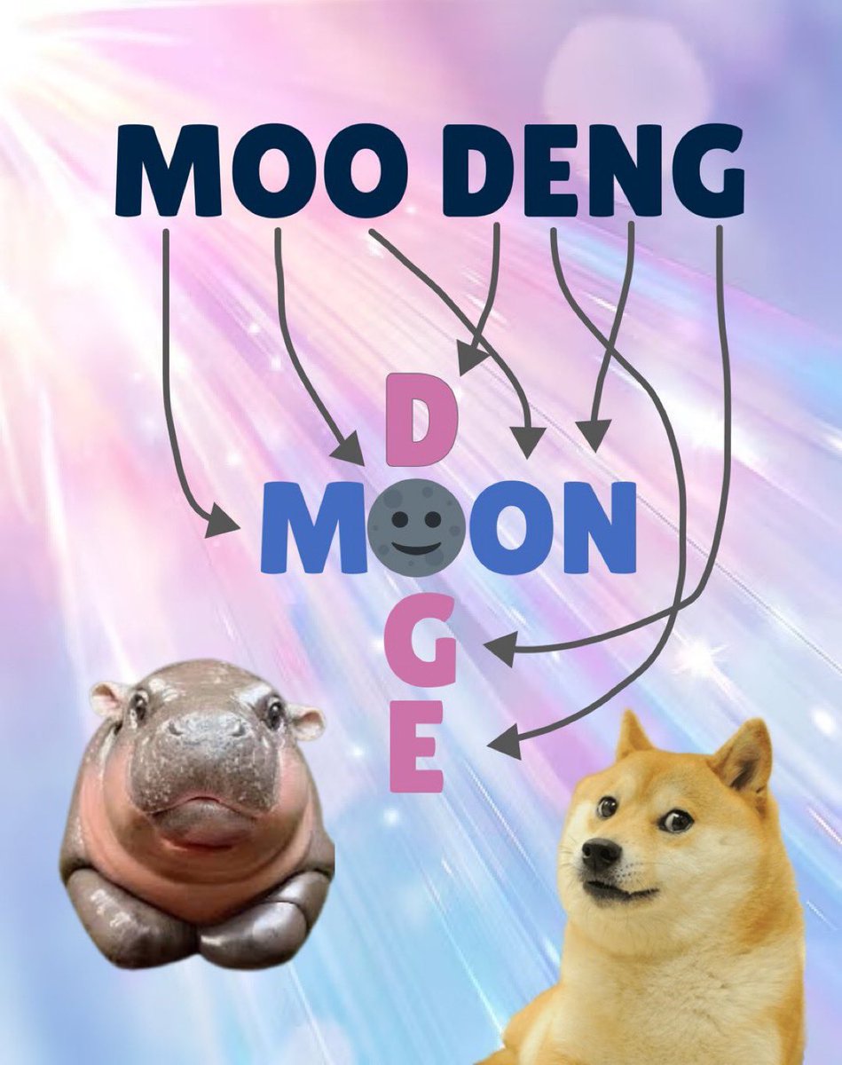 Fan Page | Moo Deng tweet media