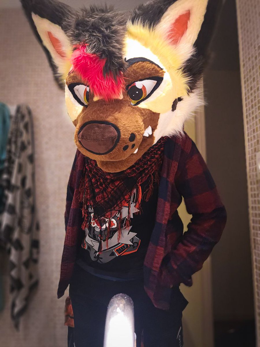 No°1) Desmond the German shepherd