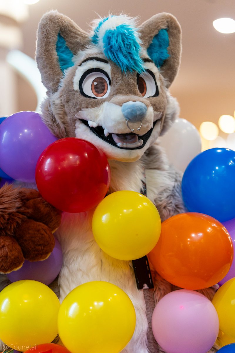 No°2) Lasky the Husky