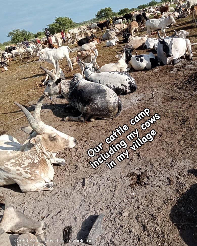 Symon Ghai tweet media