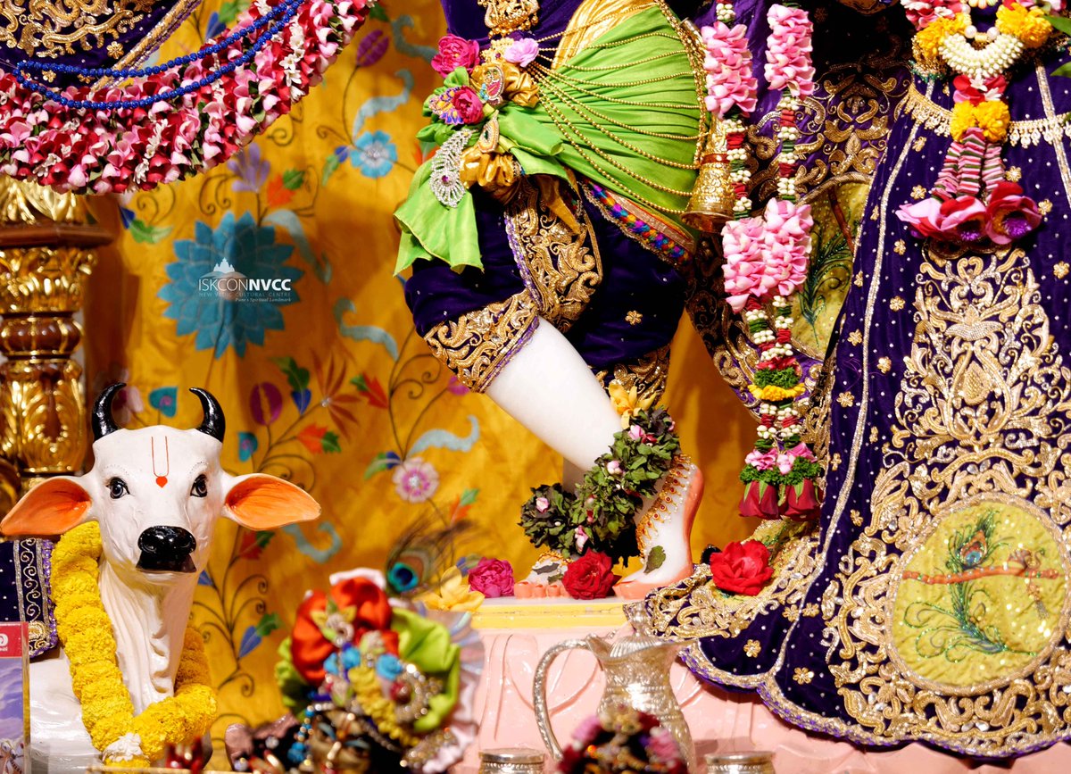 ISKCONPune's tweet photo. 🙏🏽Today's Darshan 📿 🗓04-01-2025🙏
🌷Sri Sri Radhavrindavanchandra🌷
🚩@ISKCONNVCCPune🚩
.
.
#ISKCONNVCC #ISKCONPune #ISKCONNVCCPune #ISKCON
#4thjanuary #4thjanuary2025 #Saturday
#Harinaamsankirtan #Radheshyamdas #Radheradhe
#Sankirtan #Kirtan #Vrindavan #Mayapur #Prabhupada https://t.co/EoYyeGRvsa