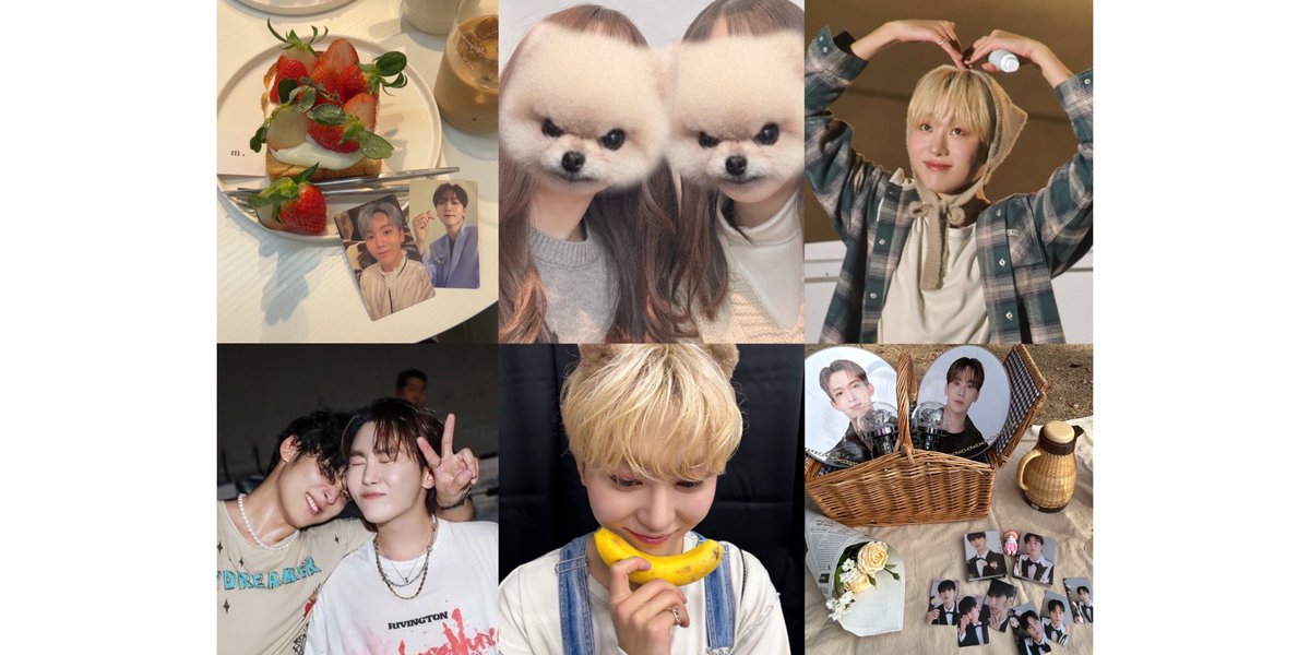 ☆ミ.。 tweet media