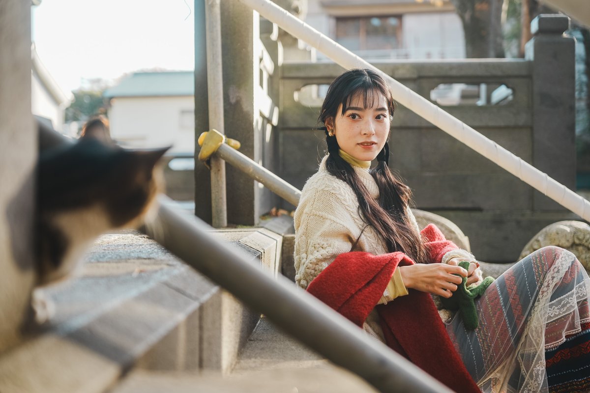 Ouchi_life_'s tweet photo. 吾輩は猫である https://t.co/MP6ZEWGAB4