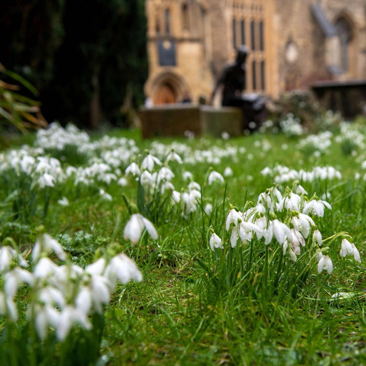 The National Garden Scheme has been championing the health benefits of garden visits since it first opened 609 garden gates in 1927 and we're still passionate about it today! 

Find out more👇️
ngs.org.uk/new-research-s…

📷️St Edmund Hall, Oxford. Open Sun 26 Jan

#winterwalk