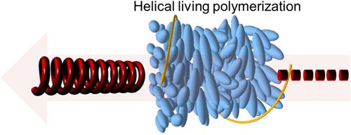 A.S.S. Domling tweet media