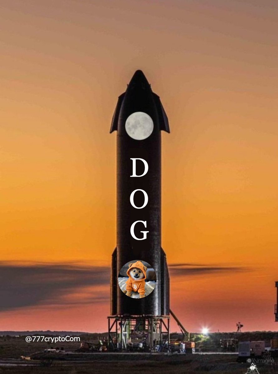 Something big coming🔥🔥🔥

  $DOG  breakout just start 💥🚀