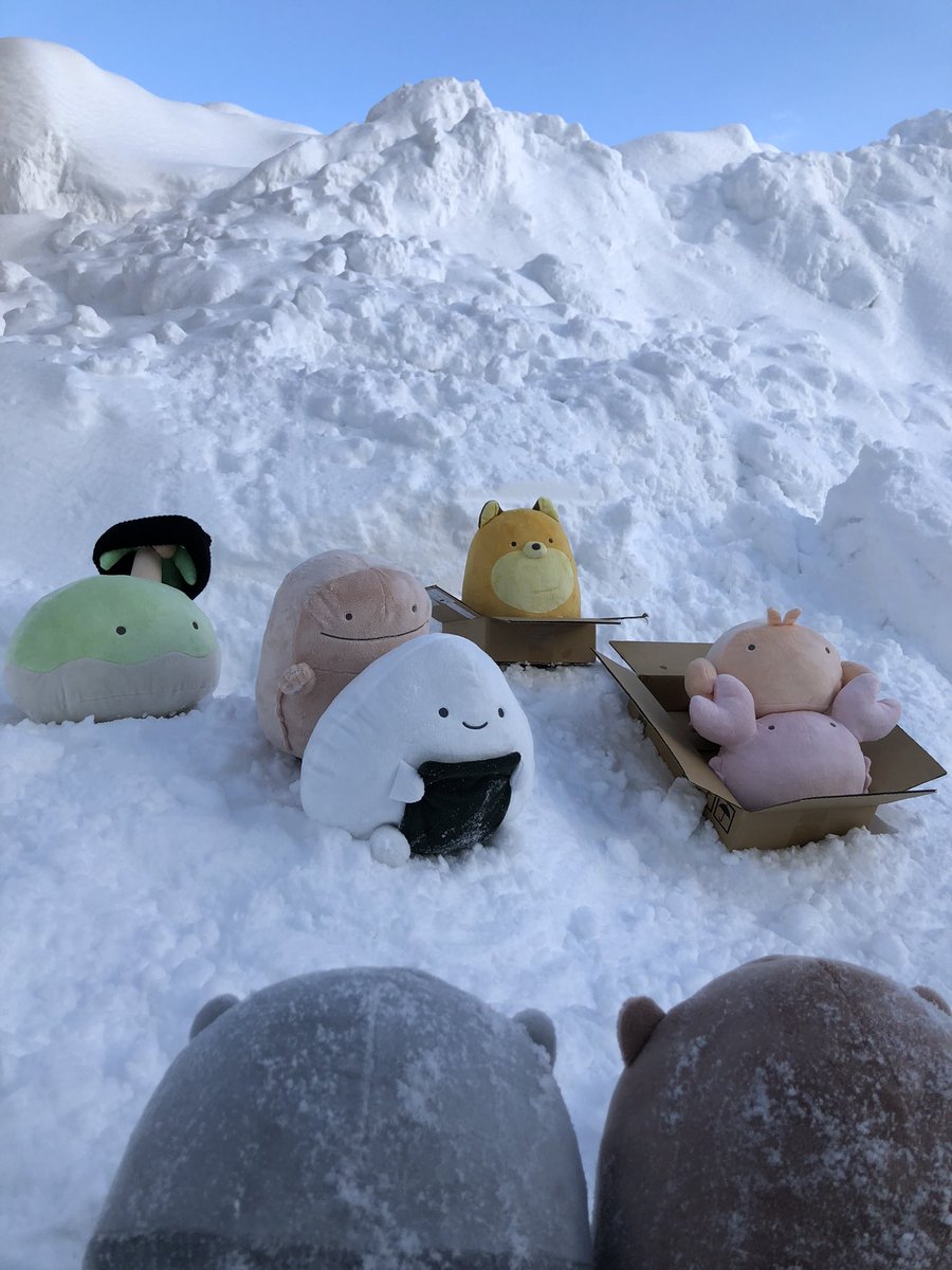 そりすべりおにぎりとそり遊び

#なんもの撮ったよ