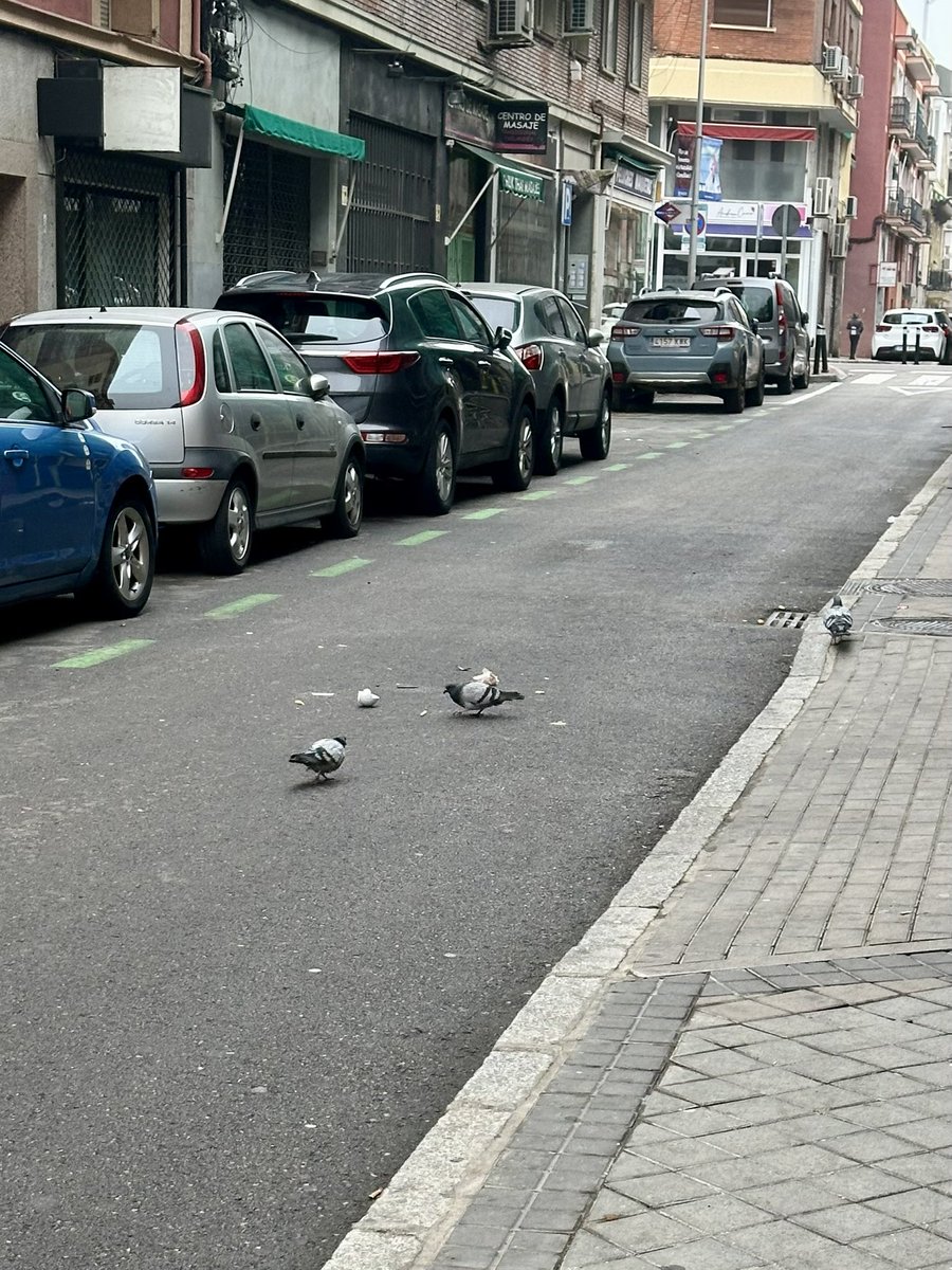 No en mi barrio tweet media