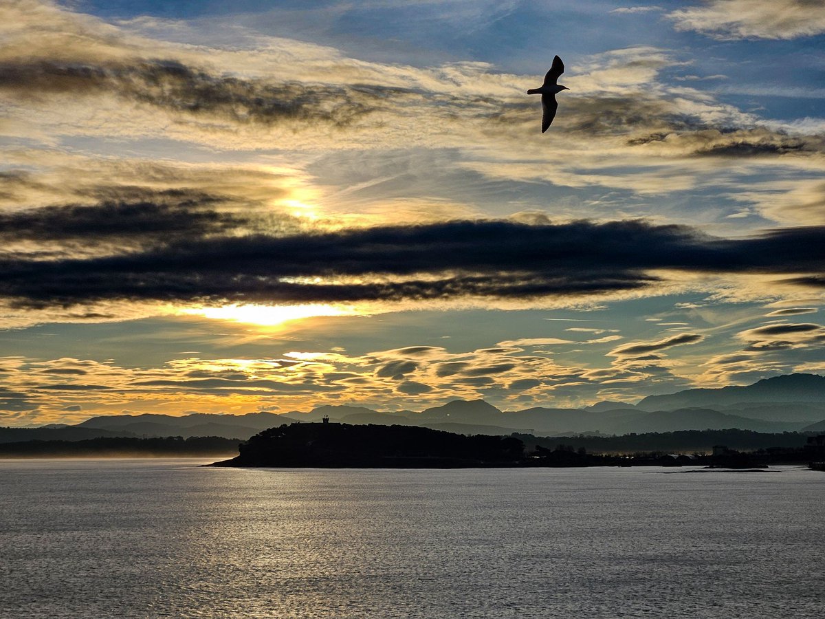 Una de aquí y ahora para desearos un lindo día 🐦

En #Santander #Cantabria <a href="/spain/">Spain</a> <a href="/tiempobrasero/">Tutiempo</a>