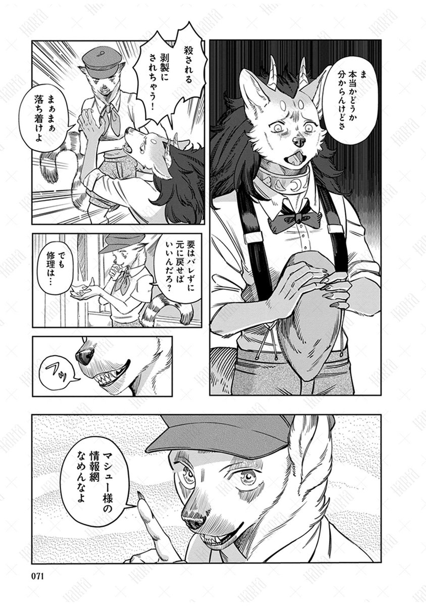 (6/11) 