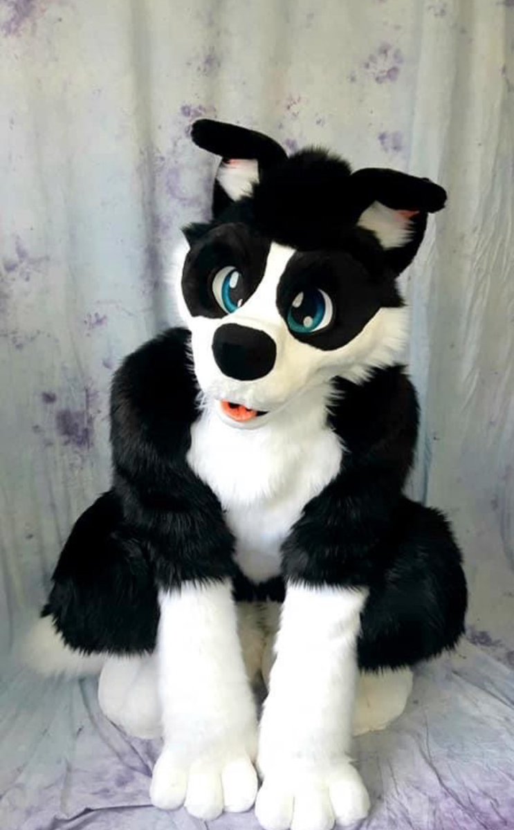 Here have pubby 🐶