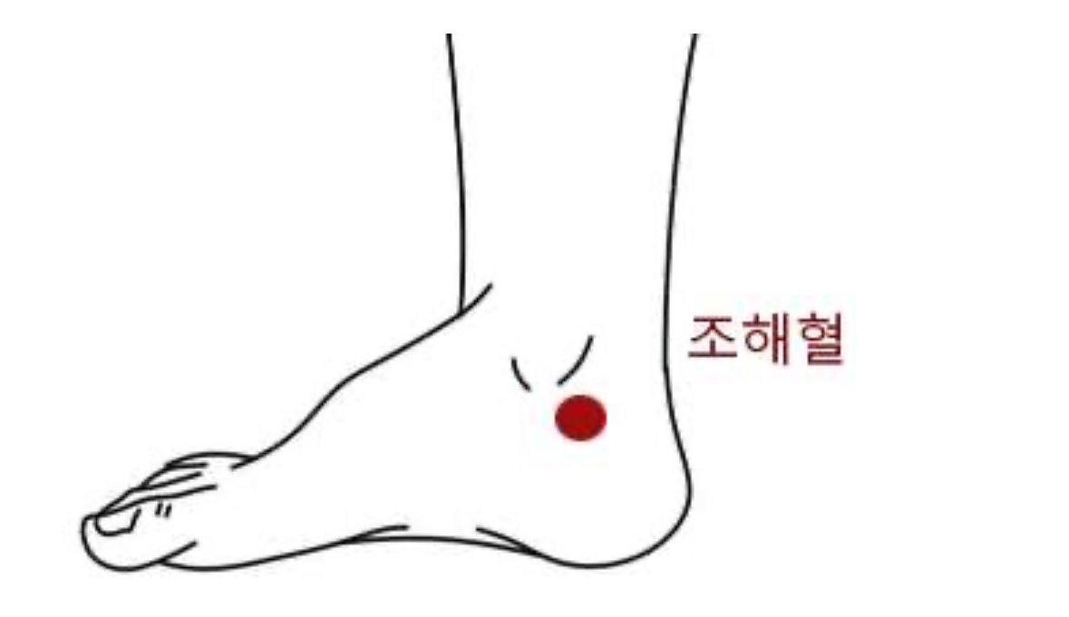 생리할 때 됐는데 안한다 근데 밀리면 안되는 일정이 다음주에 있다❓ 
조해혈 마사지 하시면 진짜 귀신같이 다음날 함 이걸로 주기조절할라고 피임약 사둔거 썩기 직전